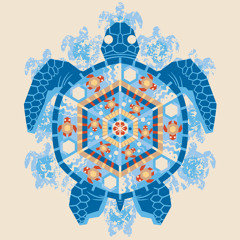 Slow like a Turtle