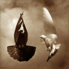 Black Dove'13 ft. Doe Boi