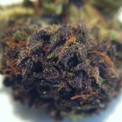 Loudpack(From the morning 2 the evening)