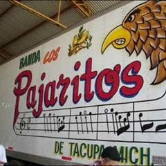 EL GuacheCesar Dj - Los Pajaritos De Tacupa Michoacan