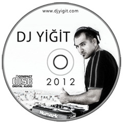 Shirley Bassey - La Passione ( DJ YiGiT DSB Private 2013 Mix )