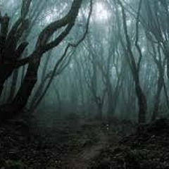 Dark forest set 147bpm-170bpm Dark Holocaust