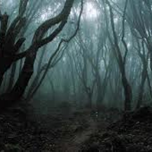 Dark forest set 147bpm-170bpm Dark Holocaust