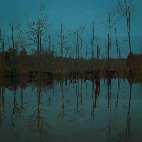 Marshes - Performed by Helmut Oesterriech and OSG