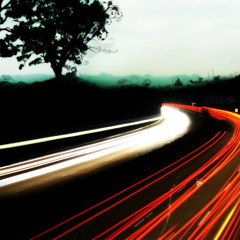 SickRat - Without Answer