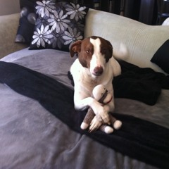 BLUE MONDAY (New Order Cover)