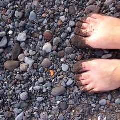 Madeira Salgada_Demo