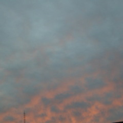 Los freddys - Amor Indio (FlowerDrive REFIX)