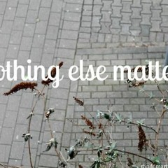 Metallica - Nothing Else Matters (RMX)