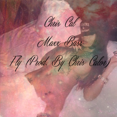 Chris Cal; Fly *Teaser* (Feat Maxx Bass) (Prod. By Chris Calor)