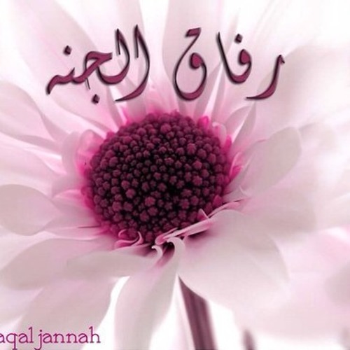 تخير لك صديق