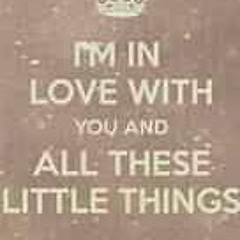 cover of little things