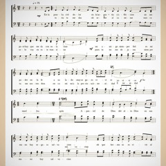 Al Amparo de Su Eleccion