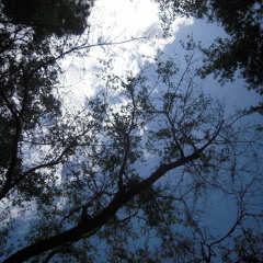 134.14bpmFarAway20130503revised