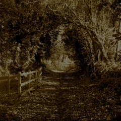 Walk Away Those Blues