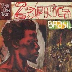 Z'africa Brasil - Sapo Na Banca