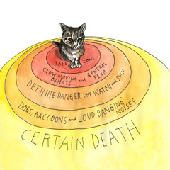 The concentric circles of personal insecurity