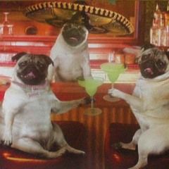 Sauced up ft Juice & Yurp