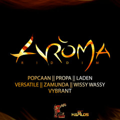 Propa - Nuh Gyal Clown [Aroma Riddim | Young VIBEZ Productions]