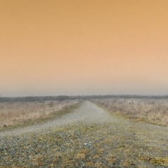 "You can be the blues II", Blues Collab with Tom Adams