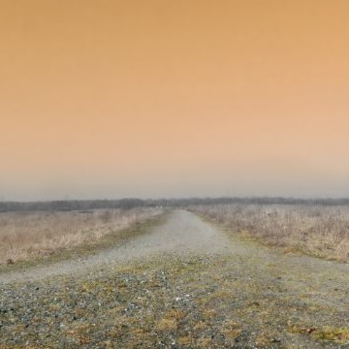 "You can be the blues II", Blues Collab with Tom Adams