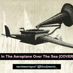 In The Aeroplane Over The Sea // Neutral Milk Hotel Acoustic Cover