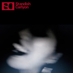 Standish/Carlyon - Critics Multiply