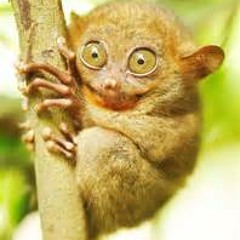 You're gon miss me stbb 322