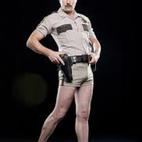 Law Enforcment Cheeta