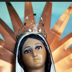 This World is not my Home