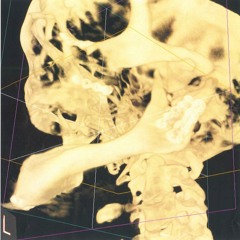 Sunny Sunday (Dreadful Fear and Hate)