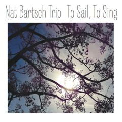 Missing Pieces - Nat Bartsch Trio feat. Gian Slater