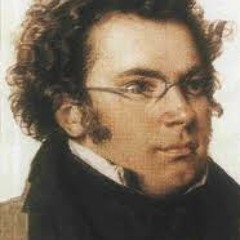 Ständchen Schubert - Harm Smeets