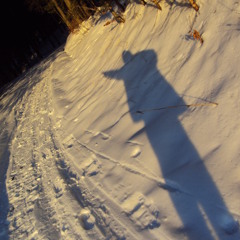 sets 2015 progressive trance