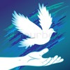 nobleIndian.com : message of the day - 06 May 2013 hindi