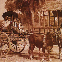 ရပ္ႀကီးသူ(ဦးသိန္းၾကြယ္)