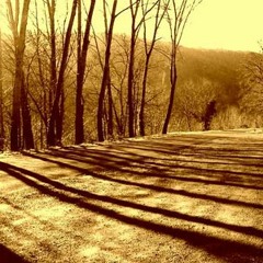 Life In Sepia (Aurora Night Sky Original)