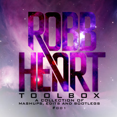 Dani L. Mebius & Dj Punish ft Avicii - Rockin In To Darkness (RobbHeart Rave n Toolbox Mashup)
