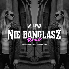 WdoWA - Nie Banglasz (Remix 2013)