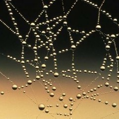 Marcílio Onofre - Araneae (2009) (string quintet)