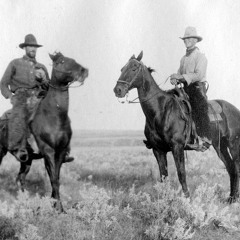 Hard Enough (Brandon Flowers)