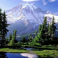 العالم هذه اللحظة