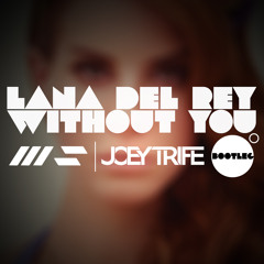 Lana Del Rey - Without You (Joey Trife & Hermit John Bootleg)