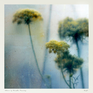 Soosh – The Way You (The Cyclist Remix)
