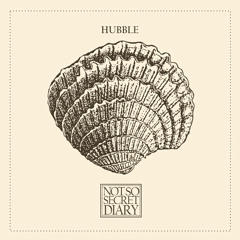 [NSSD002] Hubble - Not So Secret Diary 02 [preview]