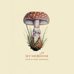 Mushaboom! (Feist Cover)