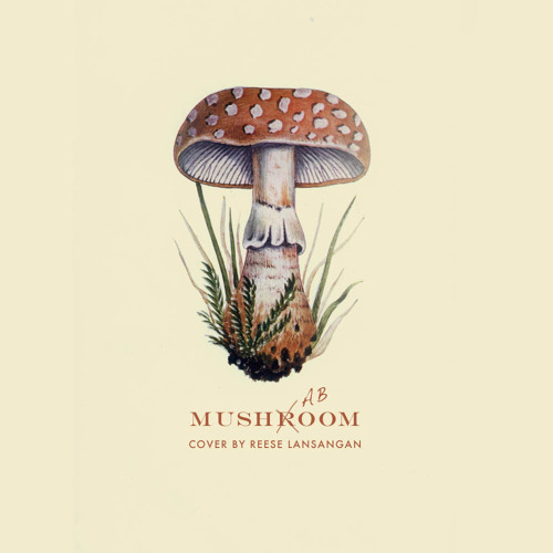Mushaboom! (Feist Cover)