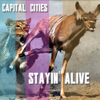 Bee Gees - Stayin' Alive (Capital Cities Cover)