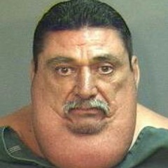 Shedding Internal (metal)