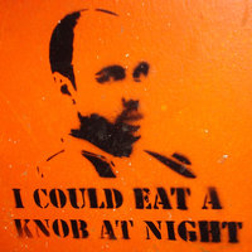Knob at Night(Up the Duff Electro Nonsense Mix)